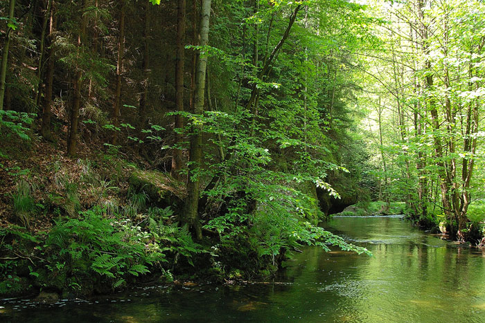 Kirnitzschtal - Sächsische Schweiz