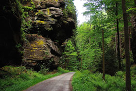 Wanderweg - Sächsische Schweiz