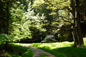 Wanderweg - Sächsische Schweiz